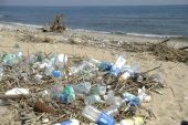 บทความในวาระวันมหาสมุทรโลกหรือวันทะเลโลก(World Ocean Day2025)