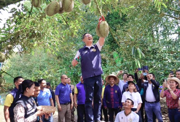 ผู้ว่าฯ สุราษฎร์ธานี เปิดฤดูกาลทุเรียน พืชเศรษฐกิจสร้างรายได้ โดยไม่มองข้ามการดูแลสุขภาพ 