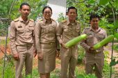 วก.ไชยา ดำเนินโครงการ “ชีววิถี เศรษฐกิจพอเพียง” สานต่อห้องเรียนรู้เพื่อการพัฒนาอย่างยั่งยืน สร้างงาน สร้างอาชีพชุมชน
