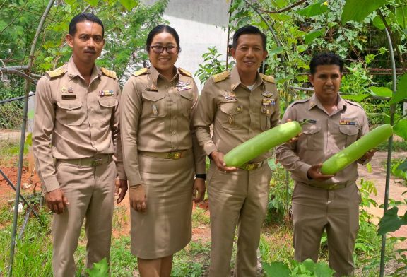 วก.ไชยา ดำเนินโครงการ “ชีววิถี เศรษฐกิจพอเพียง” สานต่อห้องเรียนรู้เพื่อการพัฒนาอย่างยั่งยืน สร้างงาน สร้างอาชีพชุมชน