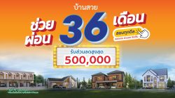 Ads – Baansuay Group full