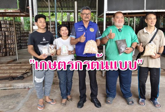 จากอดีตมนุษย์เงินเดือน กลับบ้านเกิดสร้าง “ปรีชาฟาร์ม” โมเดลเกษตรชุมชน สร้างโรงเพาะเห็ด-ซื้อผักชุมชนส่งห้างฯ สร้างรายได้ให้ชาวบ้านบ้านนาเดิม