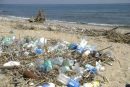 บทความในวาระวันมหาสมุทรโลกหรือวันทะเลโลก(World Ocean Day2025)
