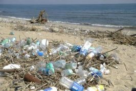 บทความในวาระวันมหาสมุทรโลกหรือวันทะเลโลก(World Ocean Day2025)