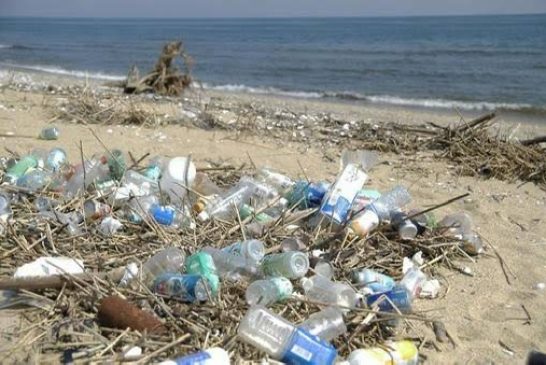 บทความในวาระวันมหาสมุทรโลกหรือวันทะเลโลก(World Ocean Day2025)