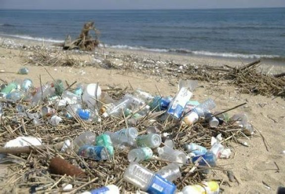 บทความในวาระวันมหาสมุทรโลกหรือวันทะเลโลก(World Ocean Day2025)