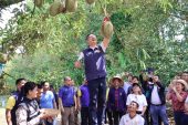ผู้ว่าฯ สุราษฎร์ธานี เปิดฤดูกาลทุเรียน พืชเศรษฐกิจสร้างรายได้ โดยไม่มองข้ามการดูแลสุขภาพ 