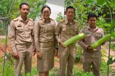 วก.ไชยา ดำเนินโครงการ “ชีววิถี เศรษฐกิจพอเพียง” สานต่อห้องเรียนรู้เพื่อการพัฒนาอย่างยั่งยืน สร้างงาน สร้างอาชีพชุมชน