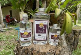 เกษตรกรชาวสวนมะพร้าว อ.เกาะพะงัน พลิกวิกฤติ!เป็นโอกาสแปลงมะพร้าวราคาตกต่ำเป็นน้ำมันมะพร้าวสกัดเย็นสร้างรายได้เดือนละกว่าแสนบาท