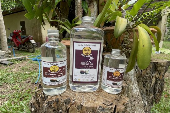 เกษตรกรชาวสวนมะพร้าว อ.เกาะพะงัน พลิกวิกฤติ!เป็นโอกาสแปลงมะพร้าวราคาตกต่ำเป็นน้ำมันมะพร้าวสกัดเย็นสร้างรายได้เดือนละกว่าแสนบาท