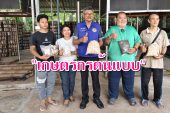 จากอดีตมนุษย์เงินเดือน กลับบ้านเกิดสร้าง “ปรีชาฟาร์ม” โมเดลเกษตรชุมชน สร้างโรงเพาะเห็ด-ซื้อผักชุมชนส่งห้างฯ สร้างรายได้ให้ชาวบ้านบ้านนาเดิม