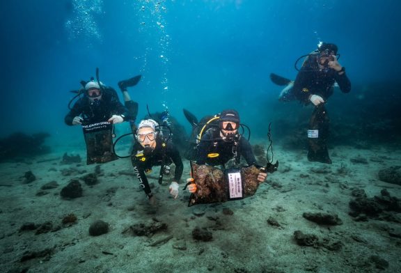 ท่องเที่ยวดำน้ำดันเกาะเต่าพุ่ง 6 เดือนแรกปี 69 เพิ่ม 14 % คาดทั้งปี 8 แสนคน 