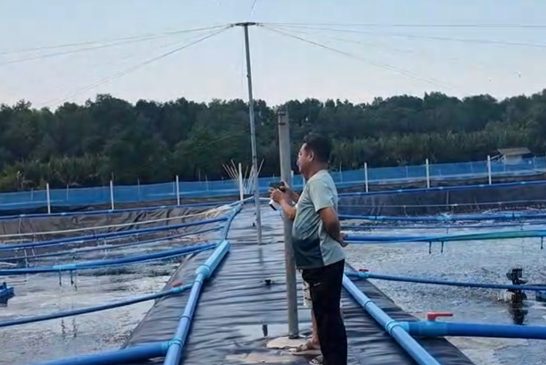 เกษตรกรผู้เลี้ยงกุ้ง ต.ท่าทองใหม่ พลิกตำราการเลี้ยงแบบเดิม หันมาใช้เทคโนโลยีใหม่ เพิ่มออกซิเจนแบบง่ายๆเพิ่มผลิต ลดต้นทุนได้ผลดี